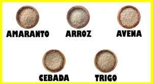los 5 cereales del plato del bien comer