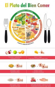 pdf del plato del bien comer para descargar