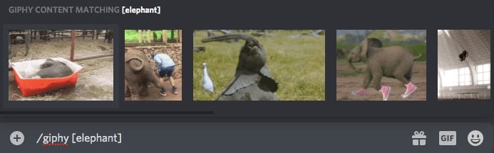 comando gif discord