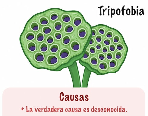 tripofobia